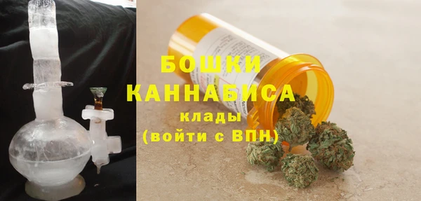 PSILOCYBIN Беломорск
