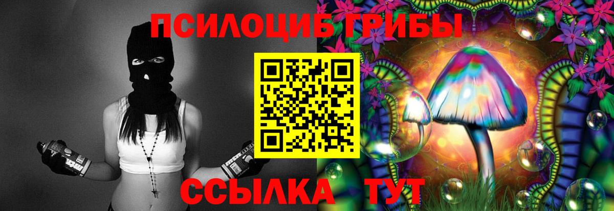 Псилоцибиновые грибы GOLDEN TEACHER Бутурлиновка